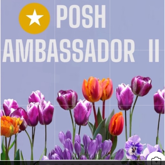 Periea Set 4 Purse Makeup Drawer Organizers & 4 Black & Gold Gift Bags NWT - Picture 12 of 13